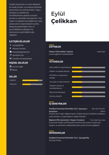  cv indir